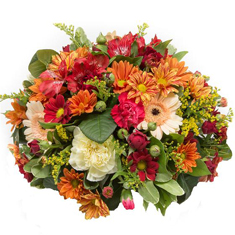 Autumnal Flowers