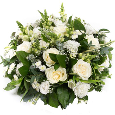 Classical White 
