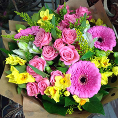 Magical Blooms