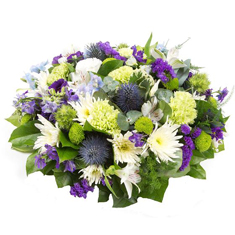 Purple, Lime &amp; White 