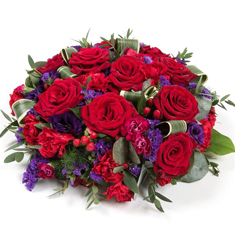 Red Rose &amp; Purple 