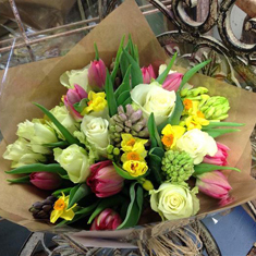 Scented Spring