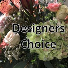 Designers Choice