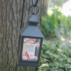 Small Lantern - Cardnial