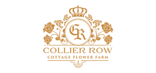 Collier Row Floral Studio